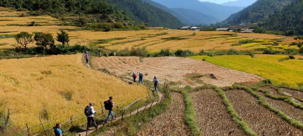 Hike-to-Khamsum-Yulley-Namgyal-Chorten-Punakha-Bhutan-2014-DSCF8419