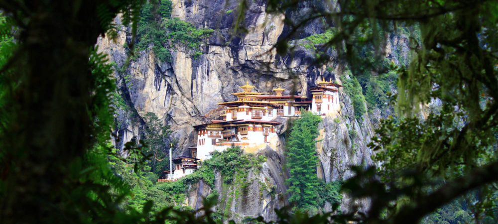 tiger-nest