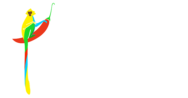 Transformational Tours